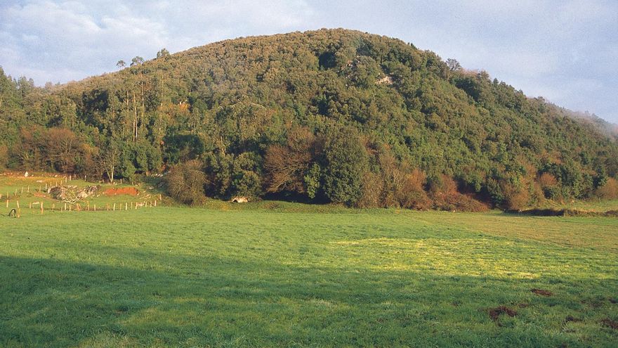 Descubiertas en La Garma huellas humanas, de oso y un grabado de un caballo