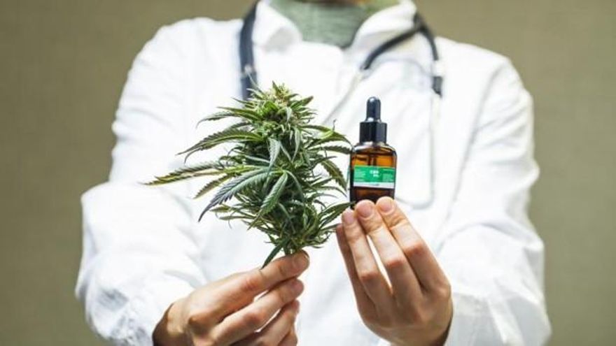 Se formalizó la promulgación de la ley de cannabis medicinal y cáñamo industrial