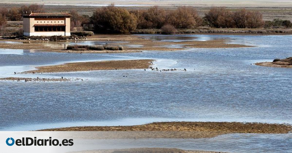 Los pantanos españoles están en el nivel más bajo de la última década
