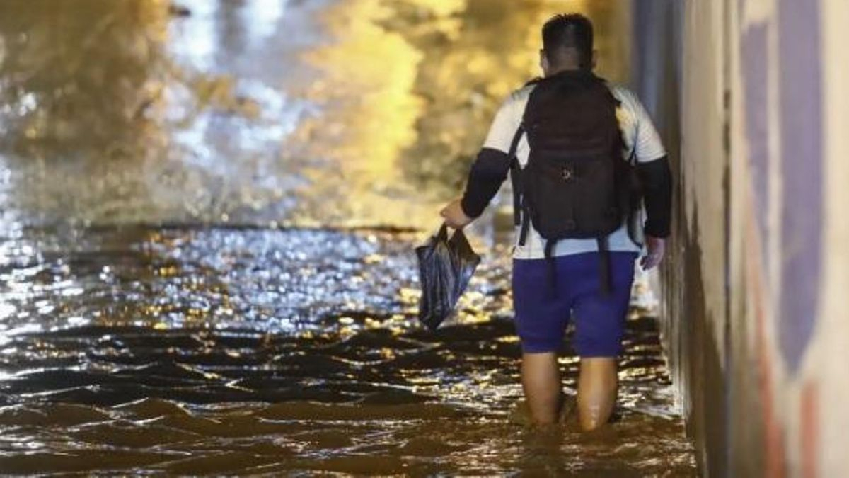 El Niño: tormentas, olas de frío y efectos en especies marinas ya se sienten en Chile, Perú, Argentina y Ecuador