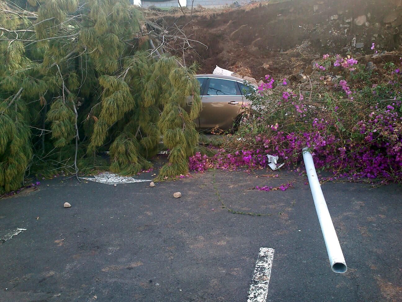 Tras el temporal, limpieza y reparaciones.