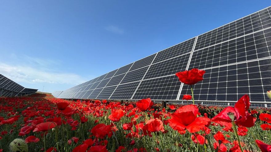 Solaria ejecuta la mejor compra de módulos fotovoltaicos de su historia, un 71% más barato que en 2022