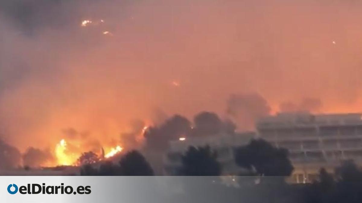 www.eldiario.es