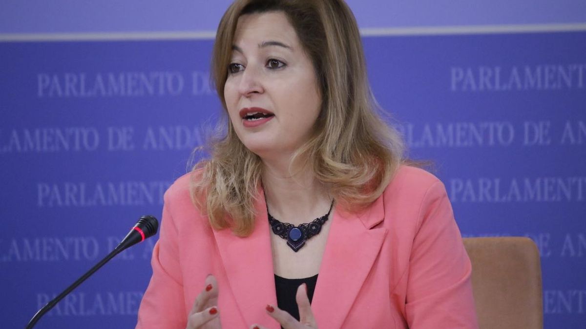 Lizárraga defiende que Más País "amplía y no divide" y que su candidatura "redundará en toda Andalucía"