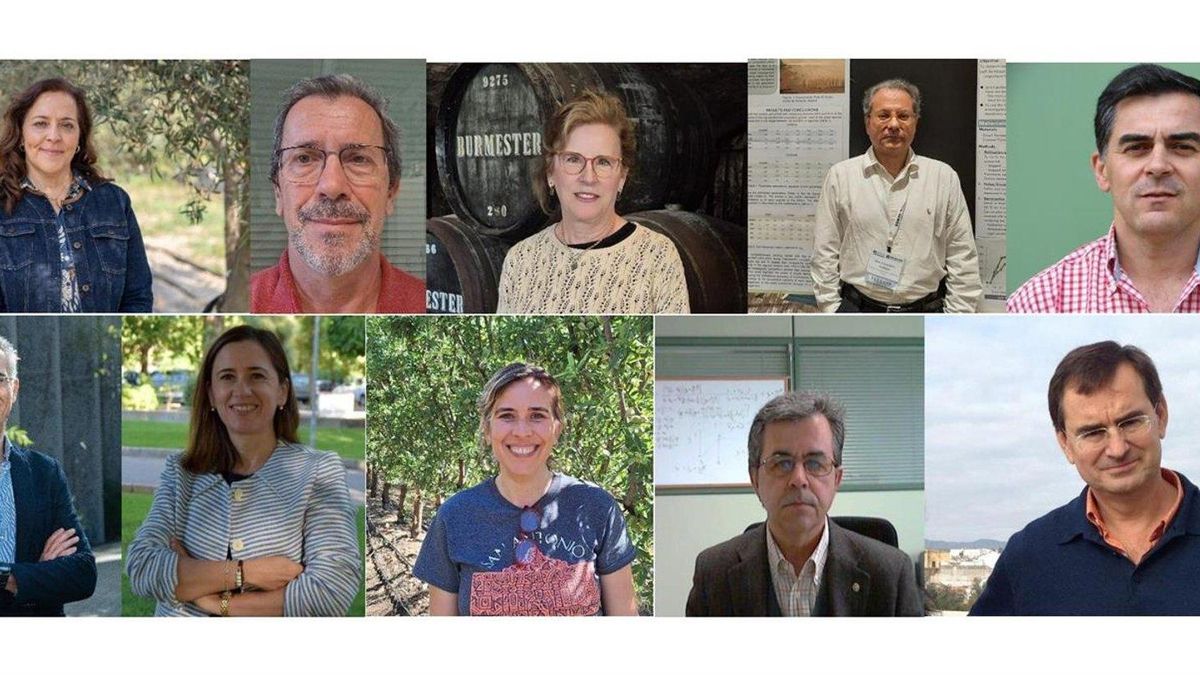 Catorce investigadores del IAS-CSIC de Córdoba, incluidos en el ránking de Stanford