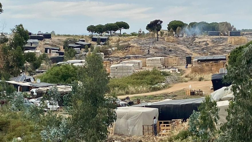 Mujeres trabajadoras en el campo, historias de abusos y explotación
