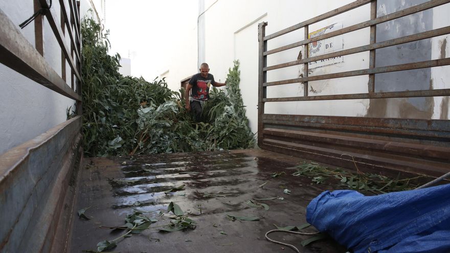 La Rama de Agaete 2022