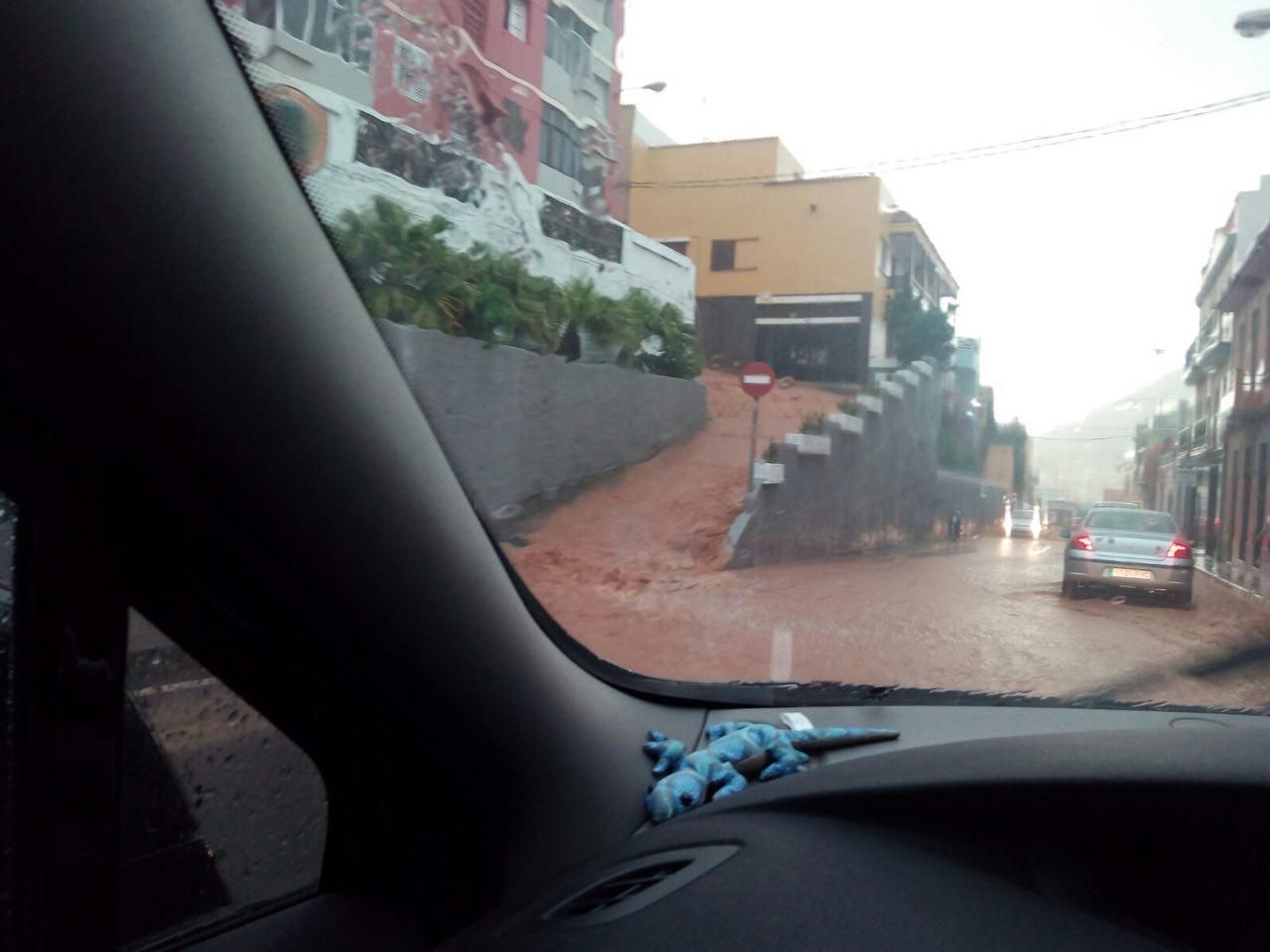 Lluvia en Santa María de Guía (CANARIAS AHORA)