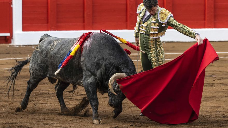 MÉS presenta esmenes a modificació de la Llei de corregudes de toros de PP-Vox per a impedir accés a menors de 18 anys