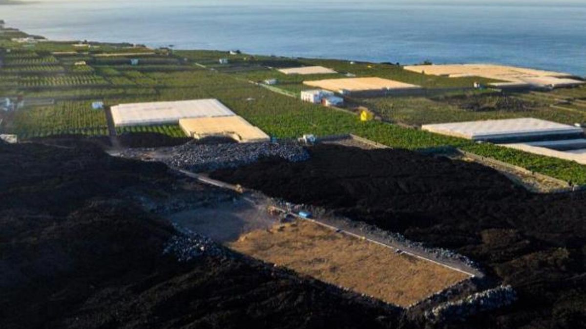 En la imagen, la finca en enero de 2024.