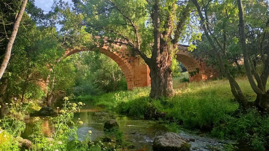 La ruta de senderismo por un valle de Segovia, a orillas de un río, entre puentes medievales y árboles centenarios