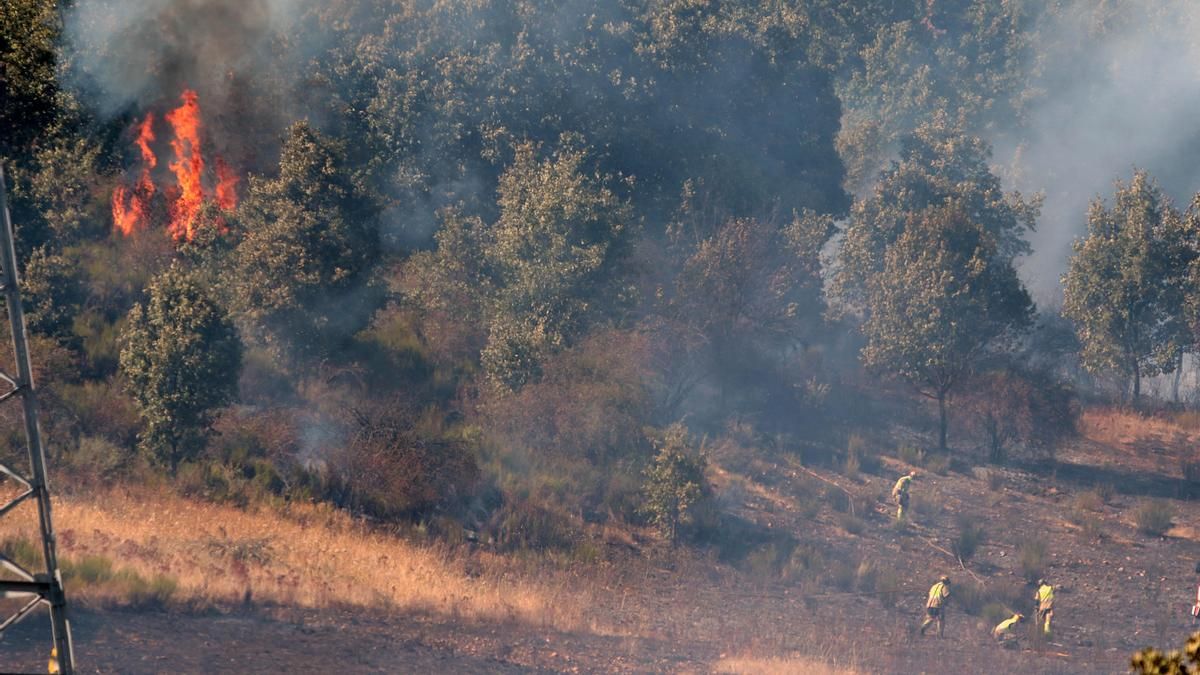 El incendio forestal de Villasinta de Torío, de origen accidental y que alcanzó el nivel 2, arrasó 25 hectáreas