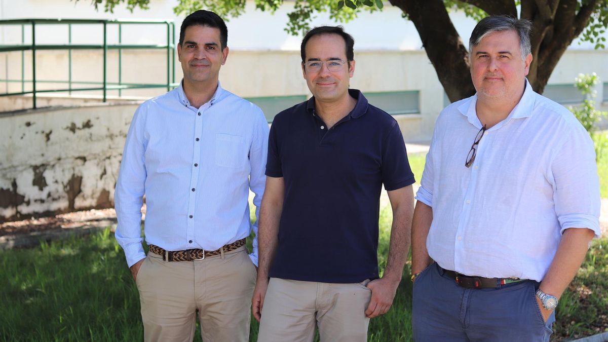 Miembros del equipo investigador de la Universidad de Córdoba que ha desarrollado un modelo para reducir fugas de agua en las redes de distribución.