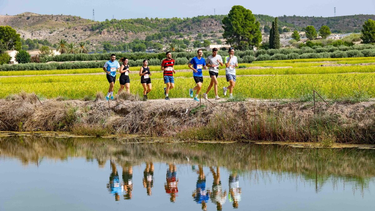 Participantes en la carrera