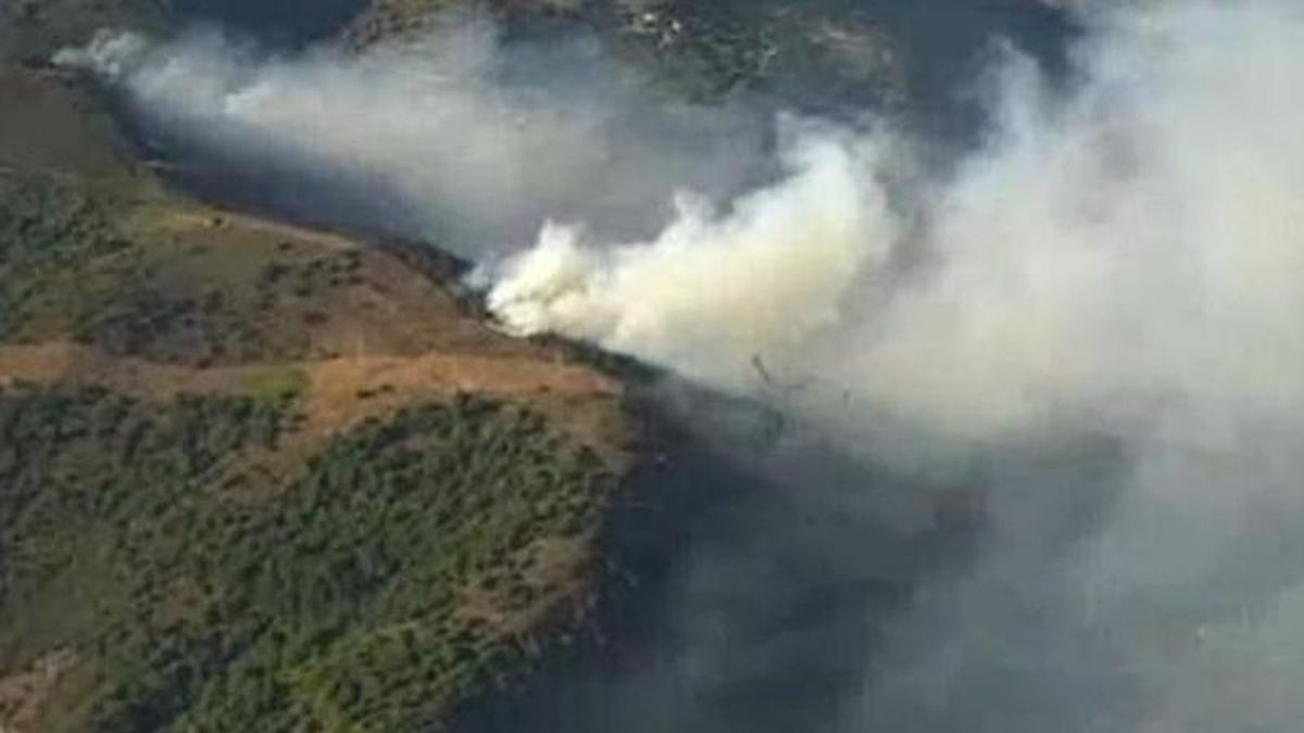 Incendio forestal en Villafranca del Bierzo.