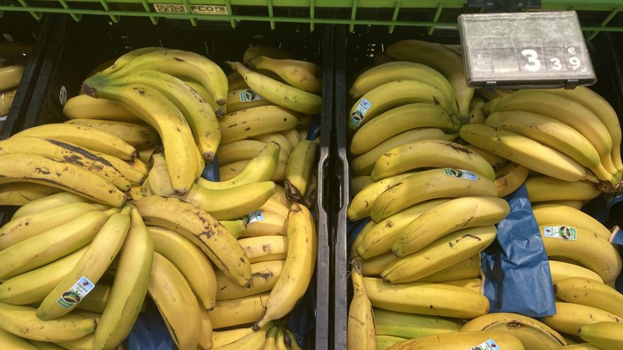 El plátano de Canarias ya se vende en la Península hasta a 7 euros el kilo