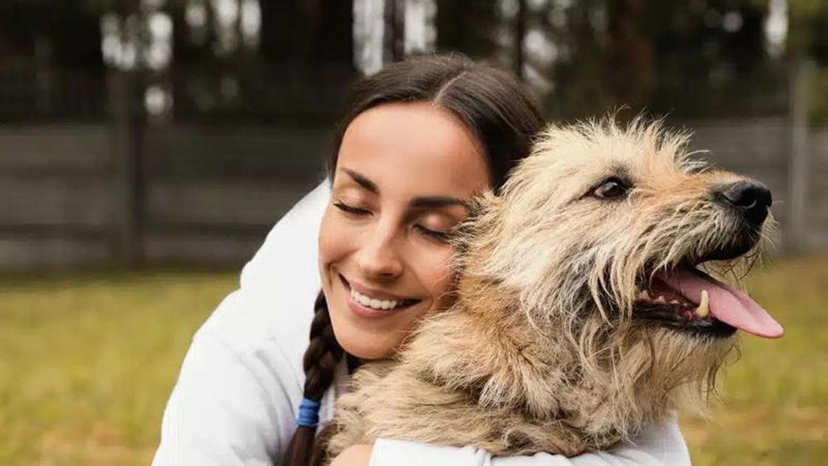 Llega el 'DNI Canino' para perros sin raza: qué es, para qué sirve y cómo funciona