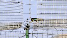 El Gobierno instala una nueva malla 'antitrepa' y alambre de cuchillas en la valla de Melilla