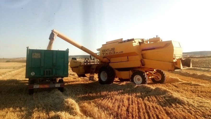 Agroseguro ya ha abonado 17,3 millones para paliar los daños por pedrisco en cultivos herbáceos de la cosecha 2025