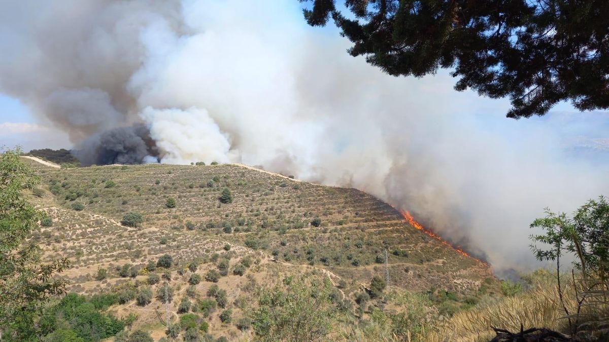 Incendio forestal en el Cerro de San Miguel de Granada
