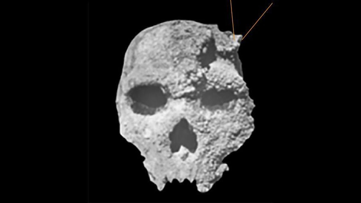 Las nuevas dataciones muestran que la calcita del cráneo y la de esa pared donde se halló pertenecen a fases distintas