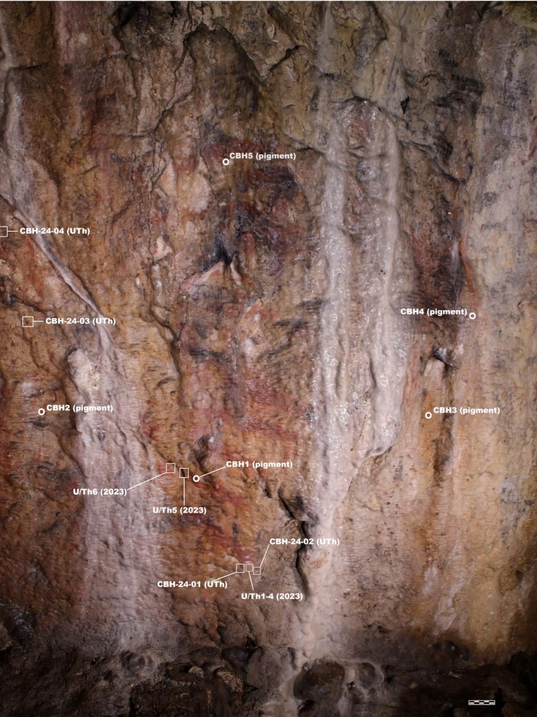 Distribución de los puntos de muestreo del panel de la cueva Bacon Hole.