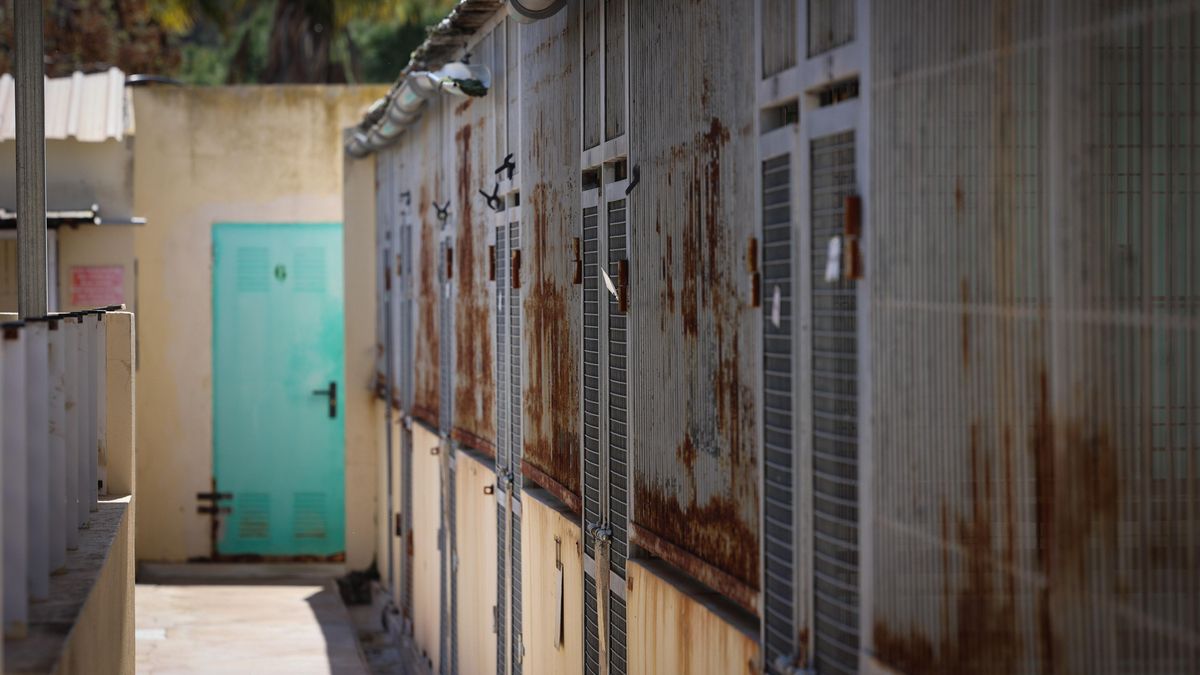 Las jaulas que los animalistas denuncian no estar en condiciones.