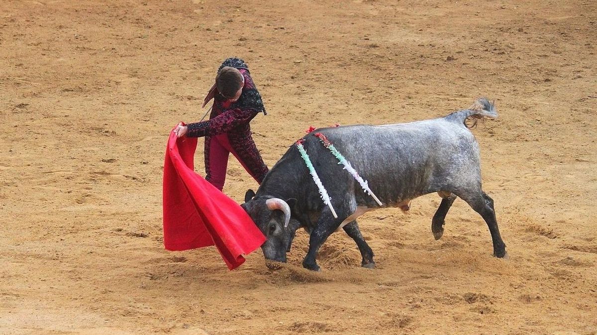 Un juzgado de San Sebastián suspende la consulta popular antitaurina tras estimar el recurso de Carlos Urquijo