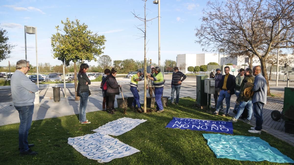 Plantación de un nuevo ginkgo en Miraflores y concentración al cumplirse 15 años del accidente nuclear de Fukushima