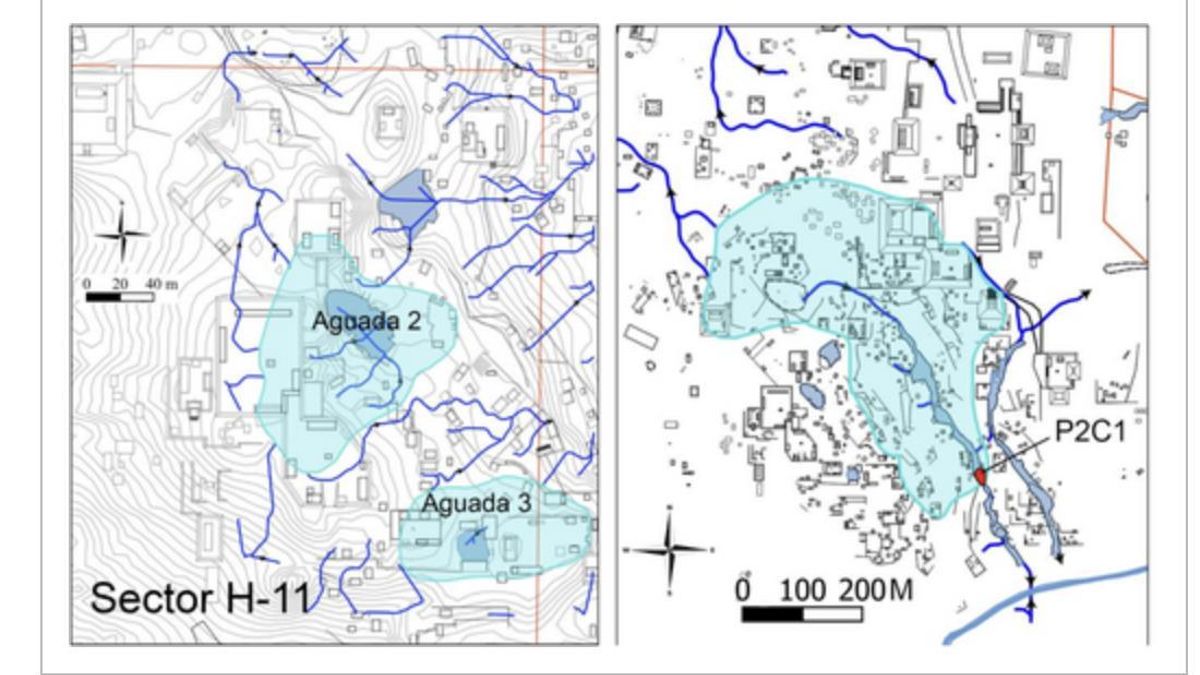 La comparación entre capas mostró cambios con el paso del tiempo