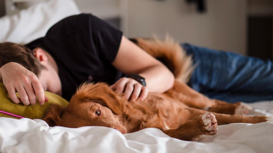 Una experta explica por qué no se recomienda dormir con tu perro o gato: “Existen motivos higiénicos para evitarlo”