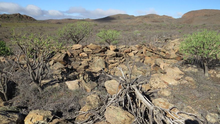 Restos arqueológicos hallados en Amurga, Gran Canaria