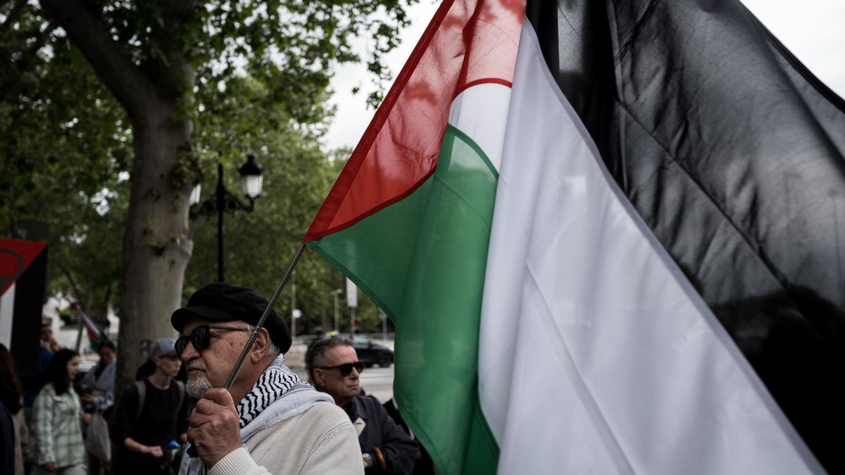 Las universidades públicas andaluzas reclaman el "fin del genocidio" contra la población de Gaza