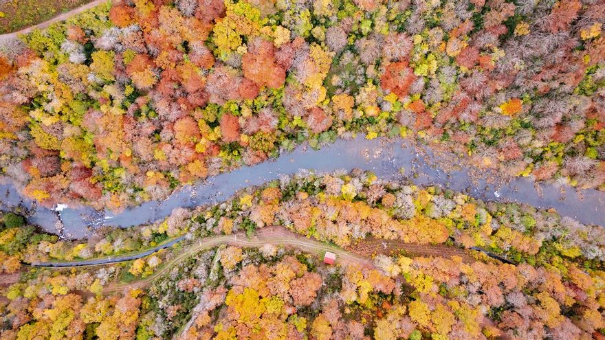 El río Irati en el valle de Aezkoa, en Navarra.