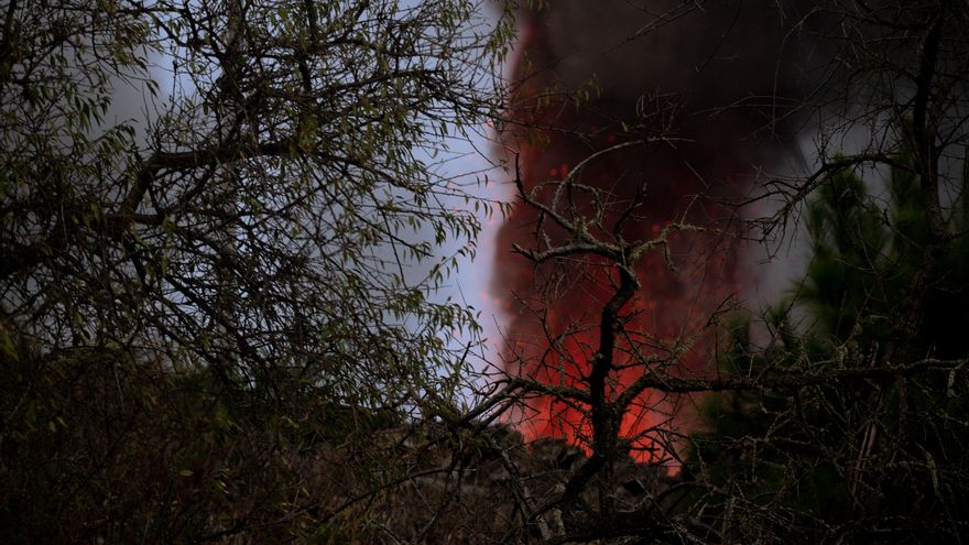Árboles secos delante del nuevo volcán de La Palma