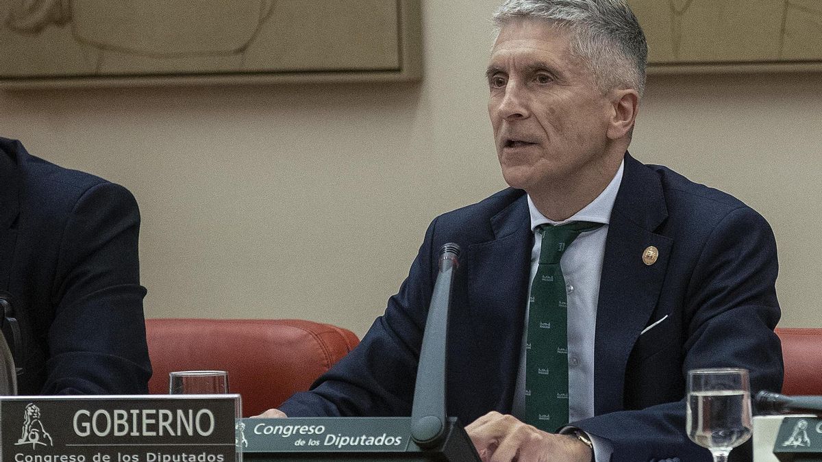 El ministro del Interior, Fernando Grande-Marlaska, durante su comparecencia  en la Comisión de Interior del Congreso para informar sobre el caso Cuarteles.