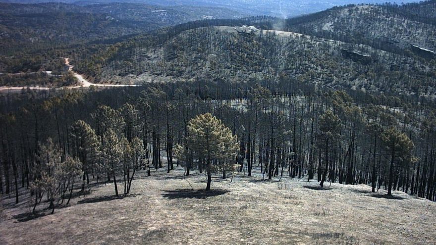 La Riba de Saelices: 20 años del megaincendio que obligó a cambiar la gestión forestal en España