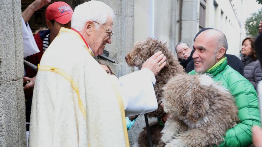 Horarios de la bendición de animales, la venta de panecillos y las vueltas de San Antón 2026 en Madrid