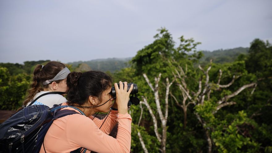 Panamá se consolida como destino para la observación de aves en el Global Big Day