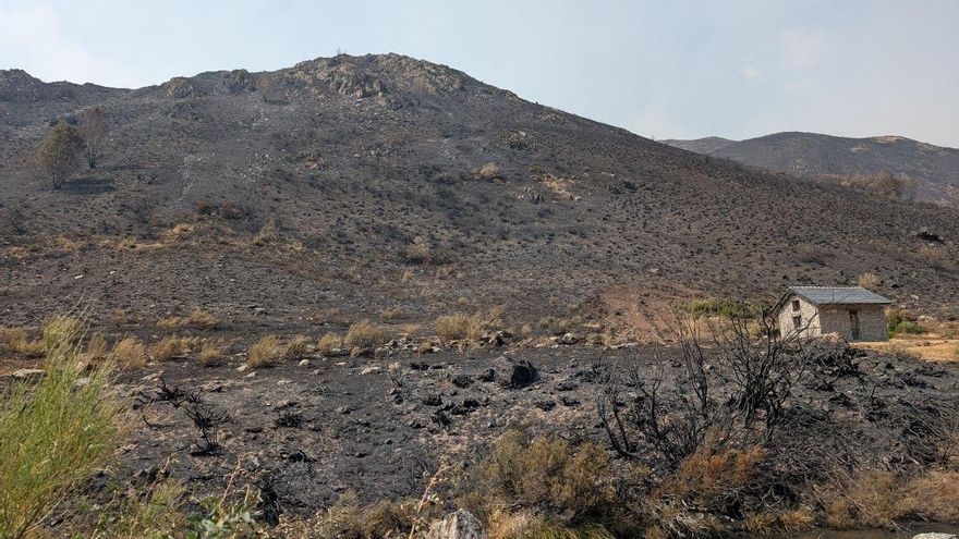 La lucha vecinal de Orallo contra el fuego: "Hemos intentado salvar el medio de vida de los jóvenes del pueblo"