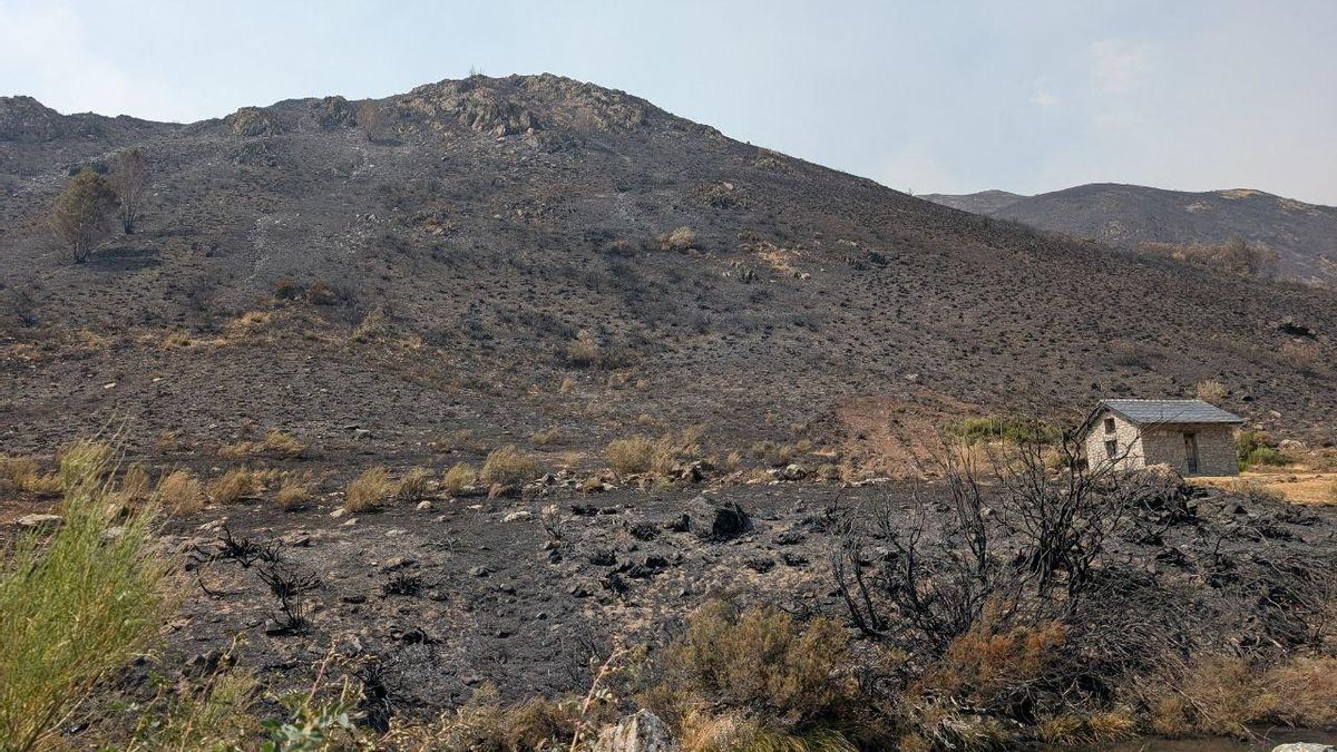 La braña de Orallo, completamente calcinada salvo las cabanas que se lograron salvar