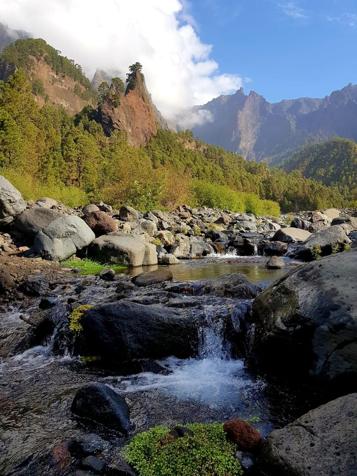 Parque Nacional de La CalderaPa de Taburiente.