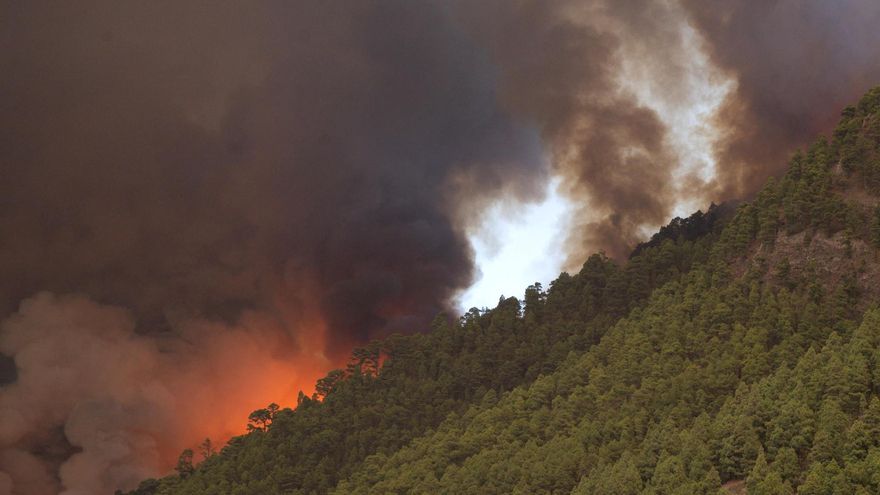 El grave incendio de Tenerife afecta ya a unas 800 hectáreas y obliga a movilizar hidroaviones