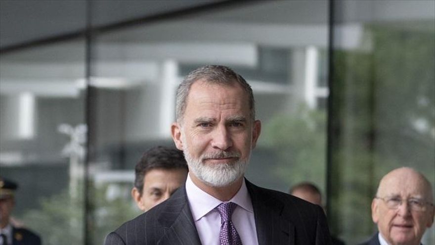 El rey Felipe VI, durante un acto público reciente.