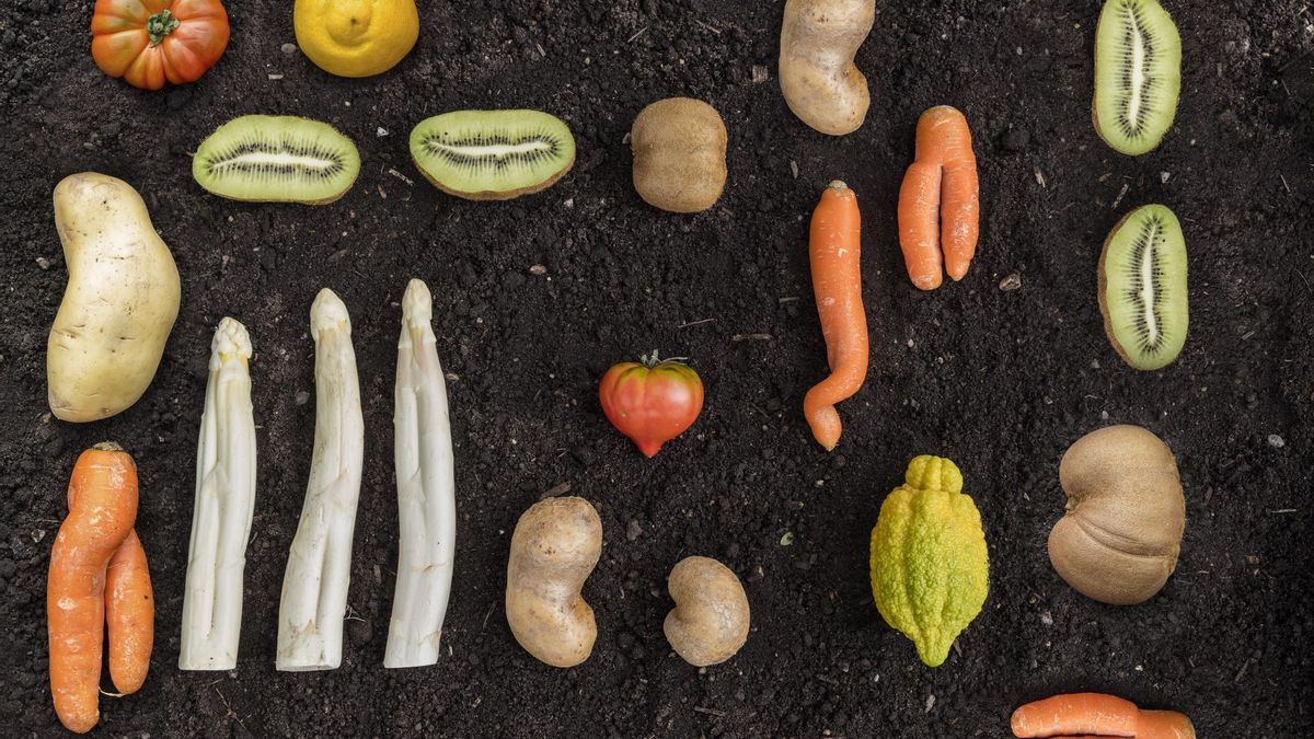 Dónde comprar comida fea en España.