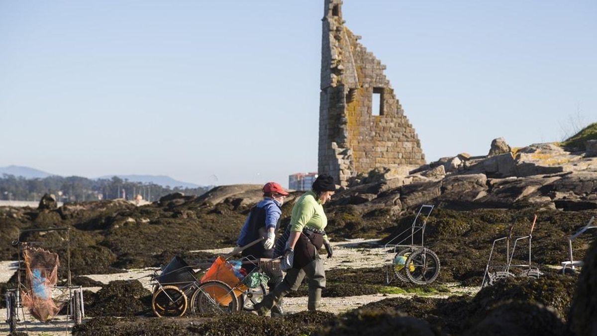 Mariscadoras junto a la torre de San Sadurniño, en Cambados.