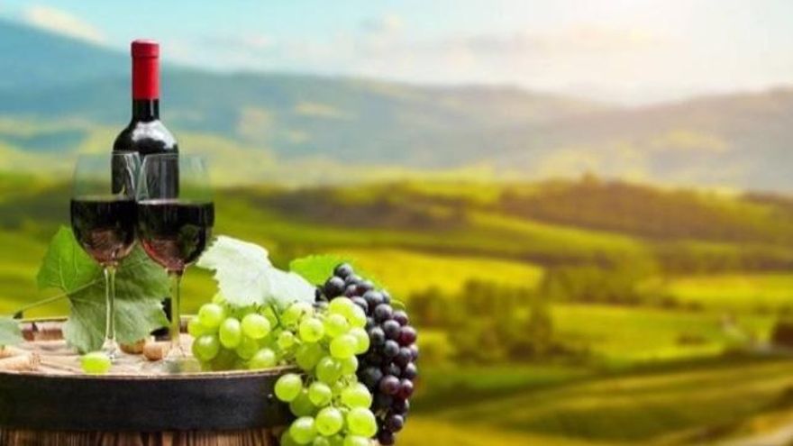 La Ruta del Vino de Manchuela que te descubrirá sus vinazos de 2,5 a 8 euros