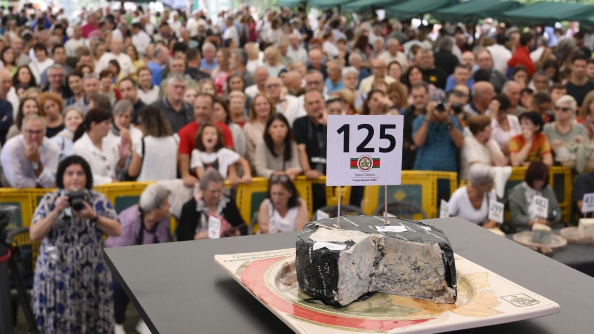 El mejor queso de Cabrales del año bate un nuevo récord mundial y alcanza los 37.500 euros