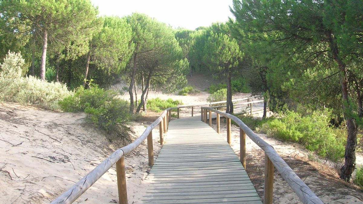 Playa de Los Enebrales