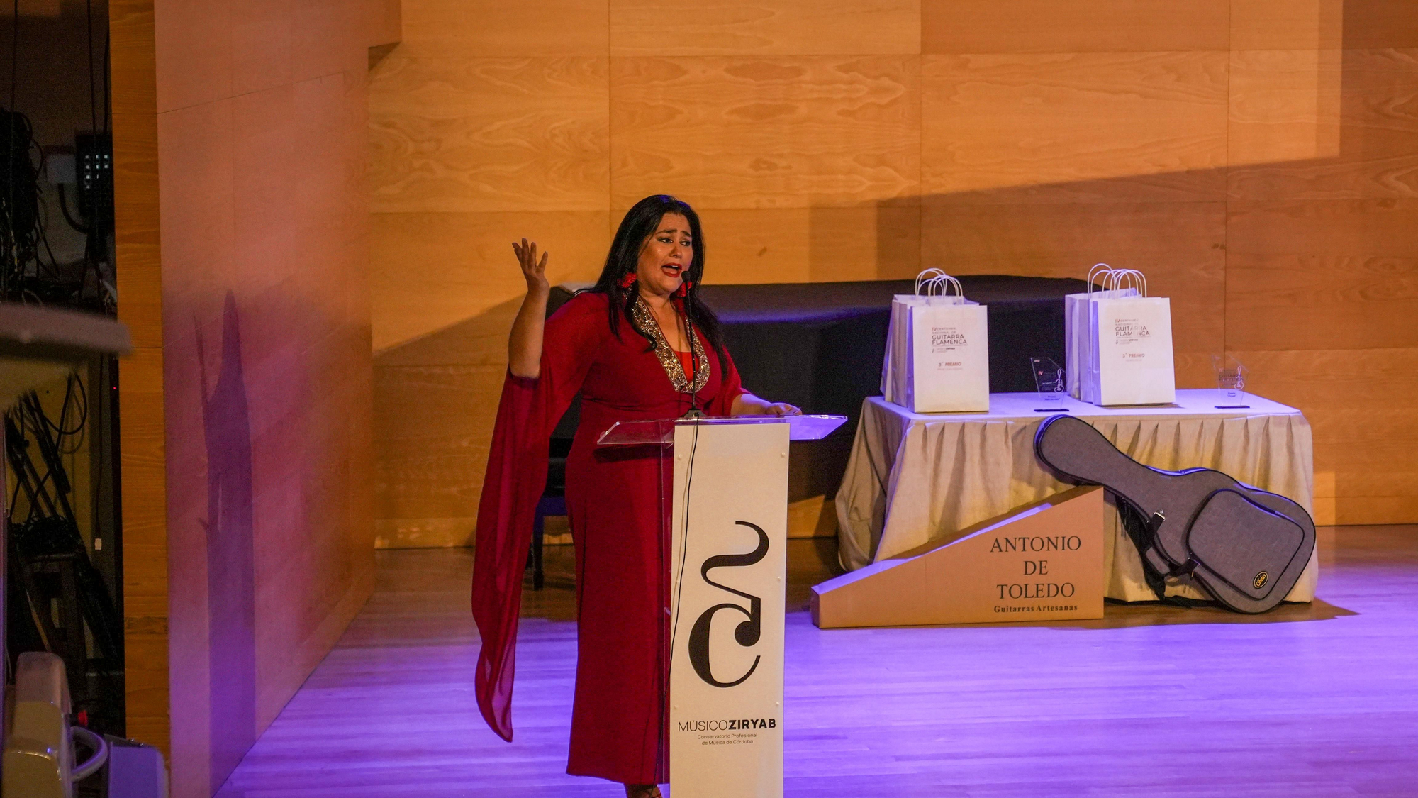 IV Certamen Nacional de Guitarra Flamenca 'Músico Ziryab'